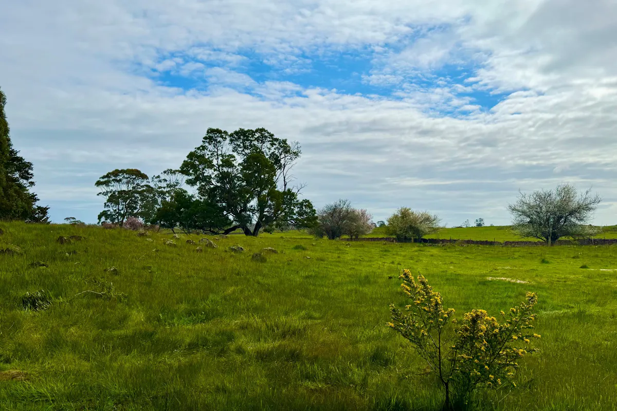 2621 Princes Highway — photo 4 of 5