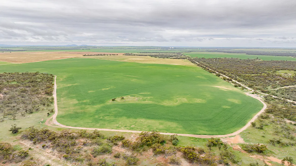3 YEAR LEASES AT MINNIPA - "CROBAR" & "MINNIPA HILL" — photo 27 of 30