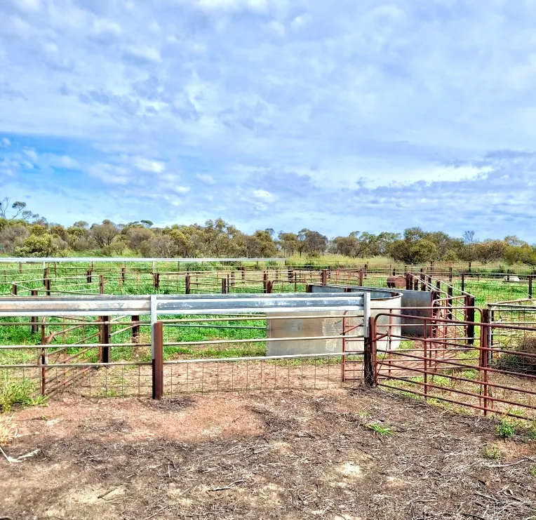 3 YEAR LEASES AT MINNIPA - "CROBAR" & "MINNIPA HILL" — photo 22 of 30