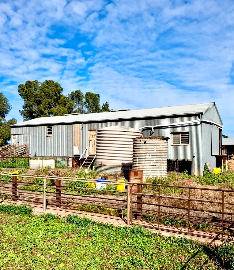 3 YEAR LEASES AT MINNIPA - "CROBAR" & "MINNIPA HILL" — photo 11 of 30