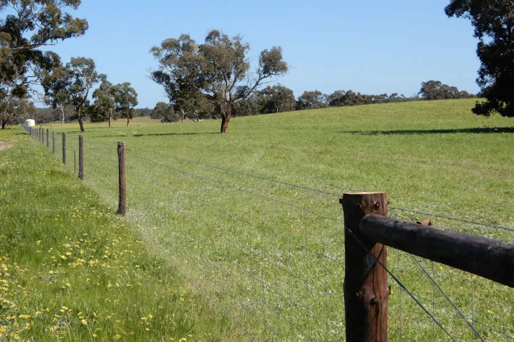 3692 Riddoch Highway, Willalooka, SA, 5267 - Image 2