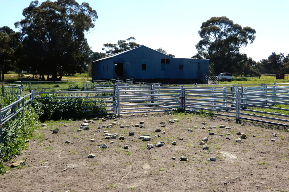 3692 Riddoch Highway, Willalooka, SA, 5267 - Image 7