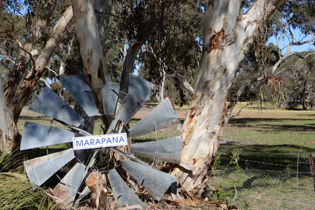 3692 Riddoch Highway, Willalooka, SA, 5267 - Image 22