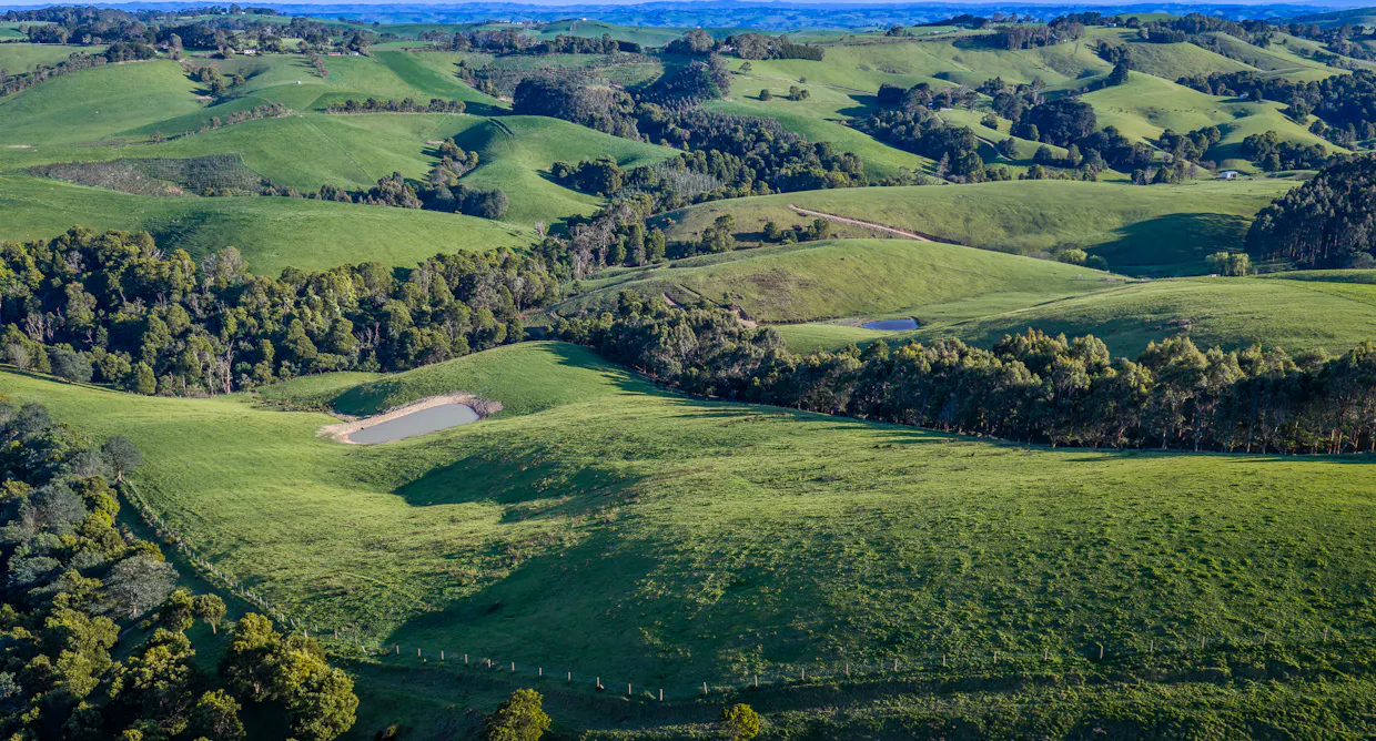 422 O'Gradys Ridge Road, Foster North, VIC, 3960 - Image 2