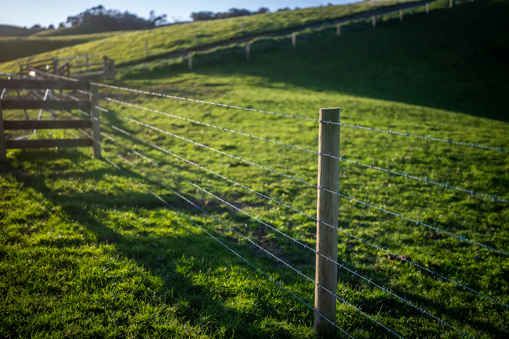 422 O'Gradys Ridge Road, Foster North, VIC, 3960 - Image 8