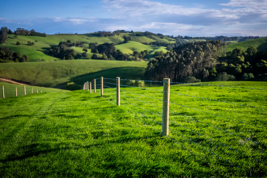 422 O'Gradys Ridge Road, Foster North, VIC, 3960 - Image 11