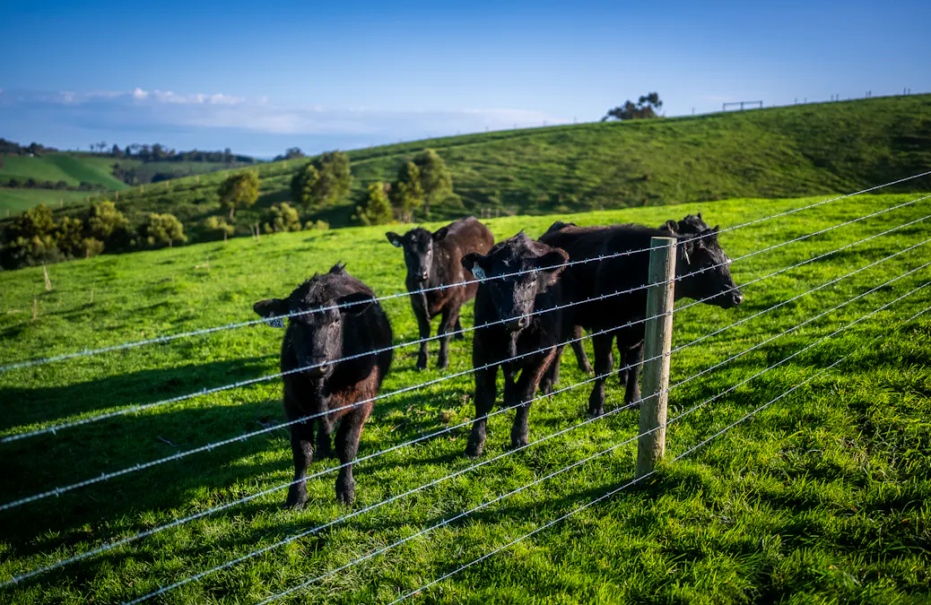 422 O'Gradys Ridge Road, Foster North, VIC, 3960 - Image 12