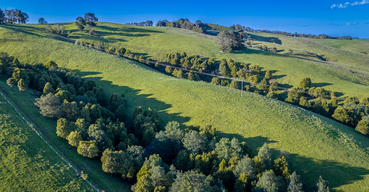 422 O'Gradys Ridge Road, Foster North, VIC, 3960 - Image 18