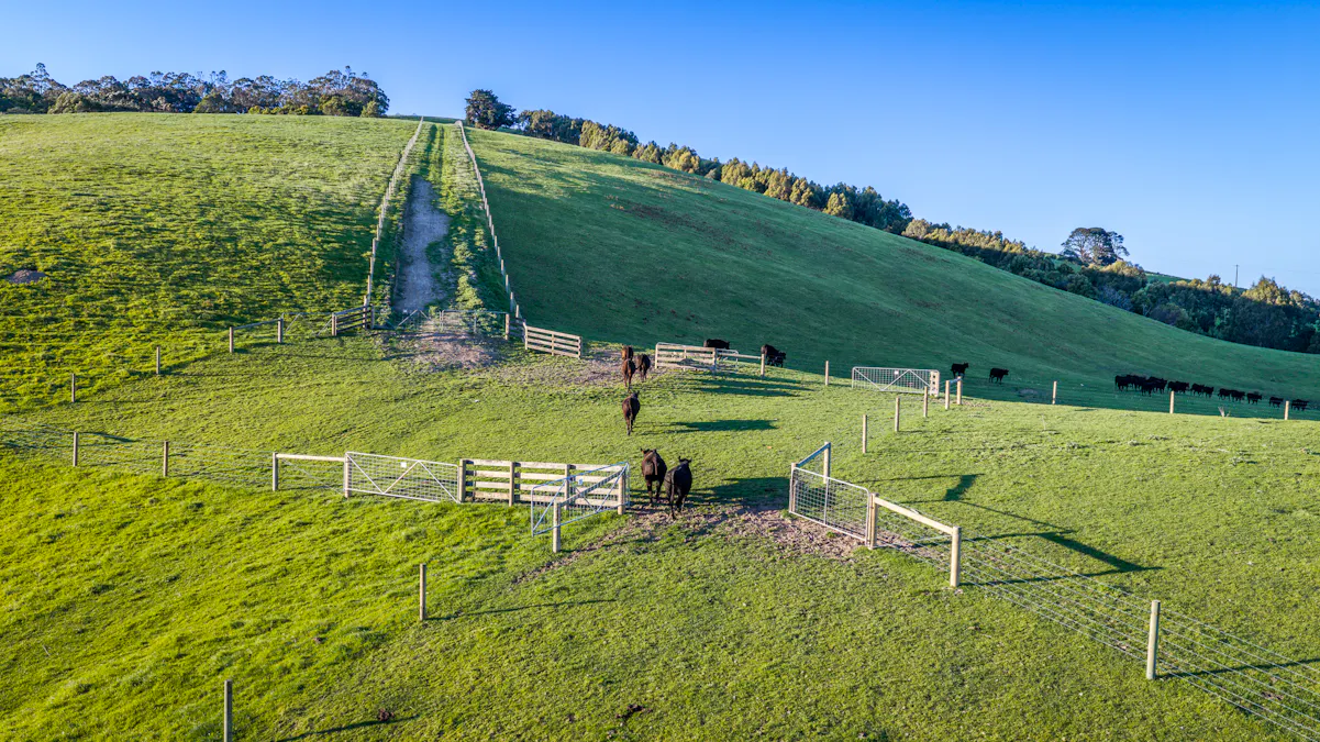 422 O'Gradys Ridge Road, Foster North, VIC, 3960 - Image 20