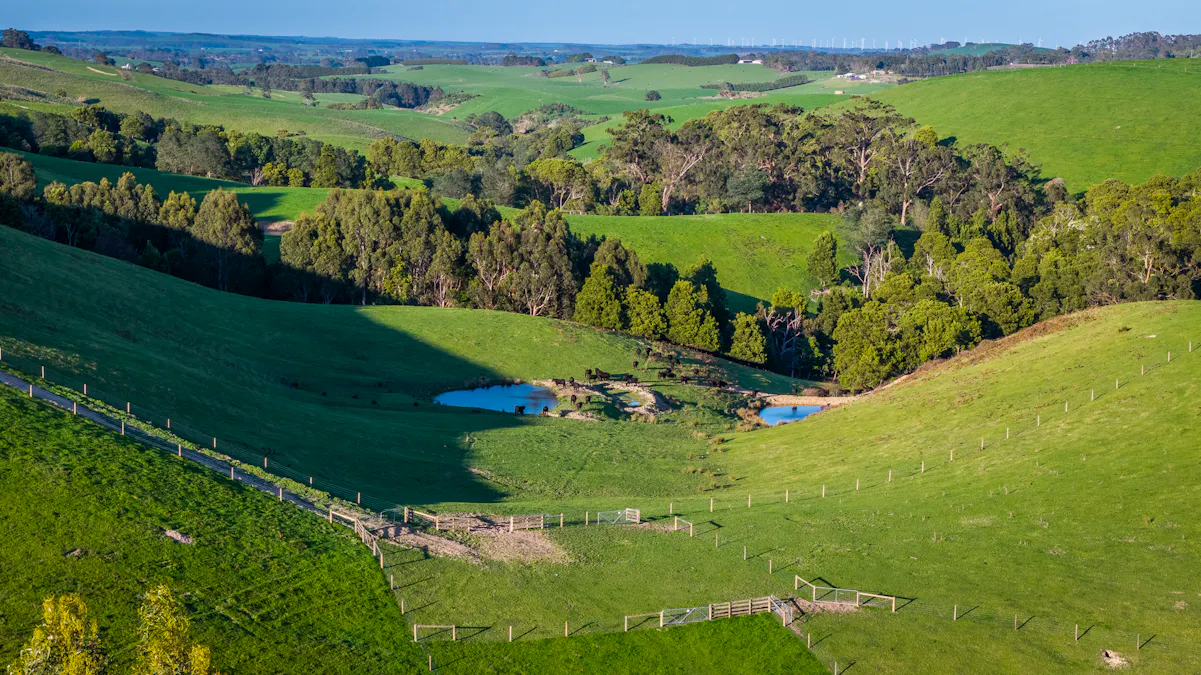 422 O'Gradys Ridge Road, Foster North, VIC, 3960 - Image 21