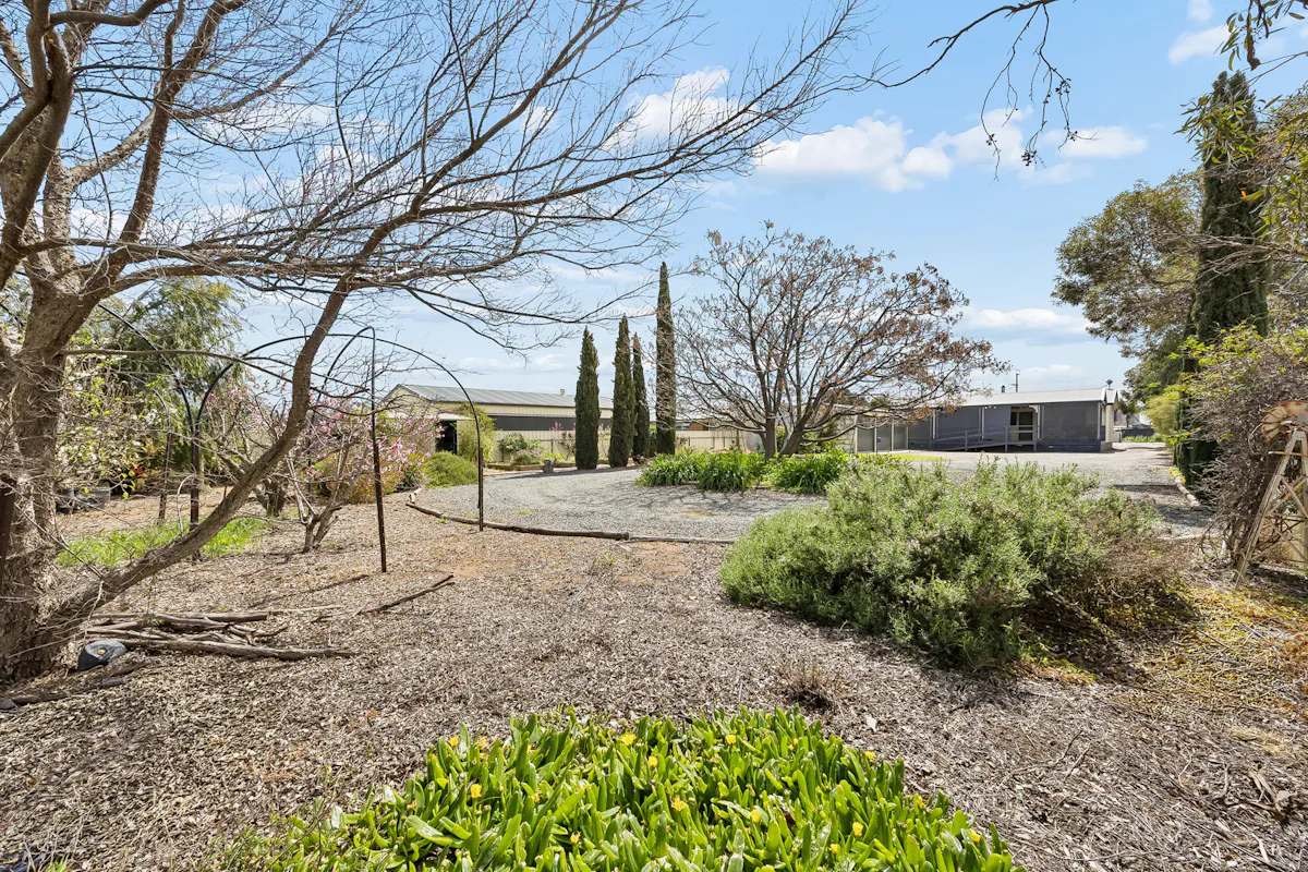 6 Aberle Street — photo 26 of 30