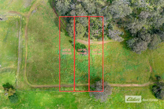 Victoria Parade — photo from Elders Real Estate South West