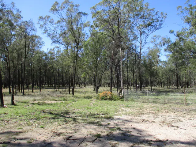 Tara, QLD, 4421 - Image 16