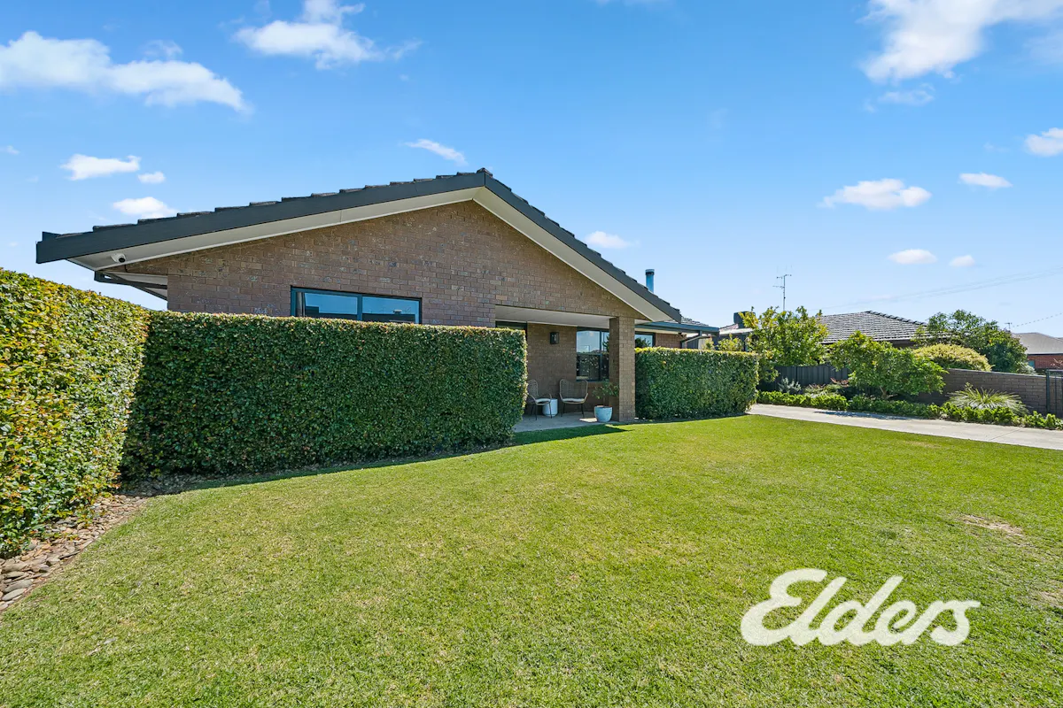 43B Hovell Street — photo 23 of 25