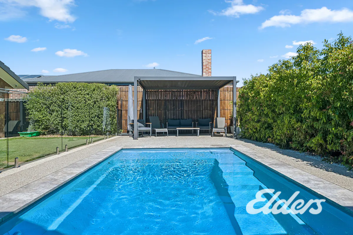 43B Hovell Street — photo 6 of 25