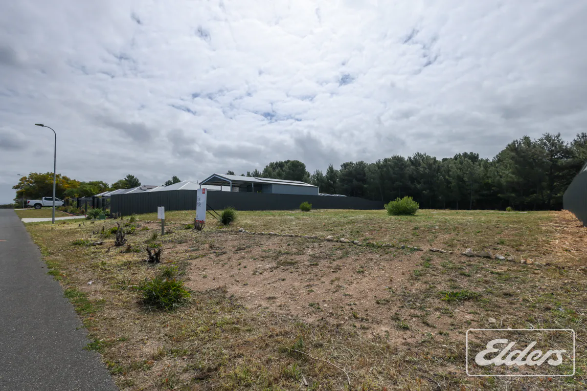 23 Terry Way — photo 5 of 14