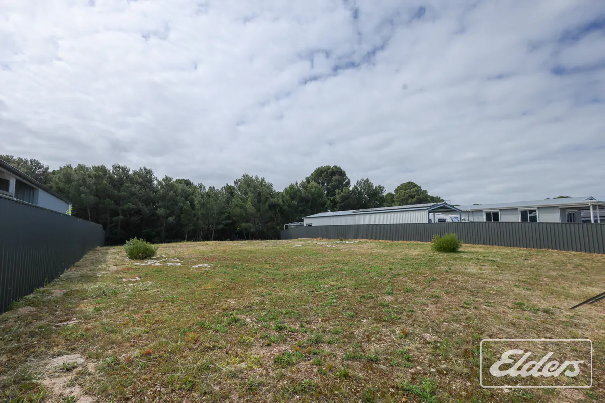 23 Terry Way — photo 6 of 14