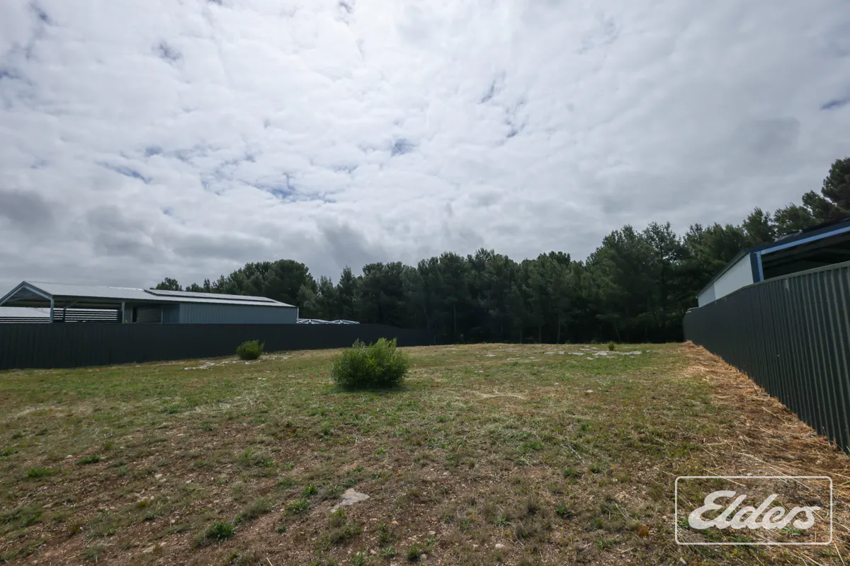 23 Terry Way — photo 10 of 14