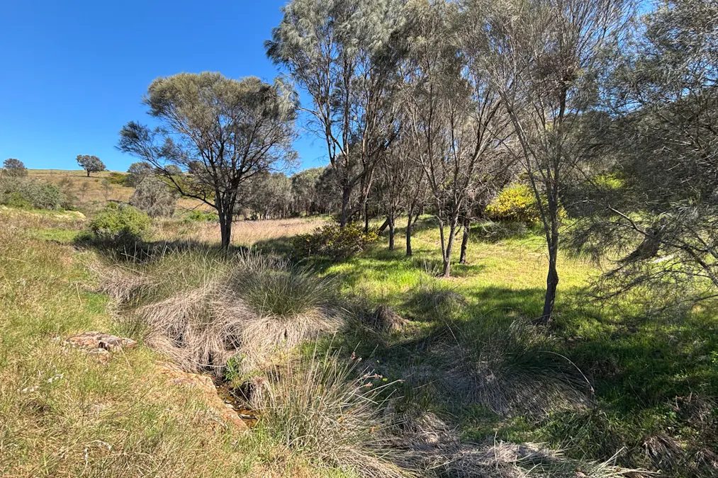 280 Clarkes Lane, North Shields, SA, 5607 - Image 14