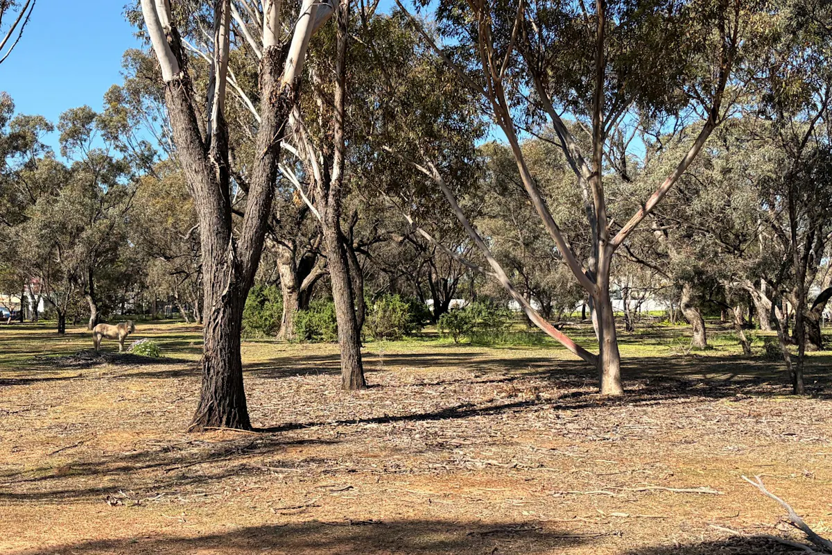 42 Dyer Street — photo 22 of 27
