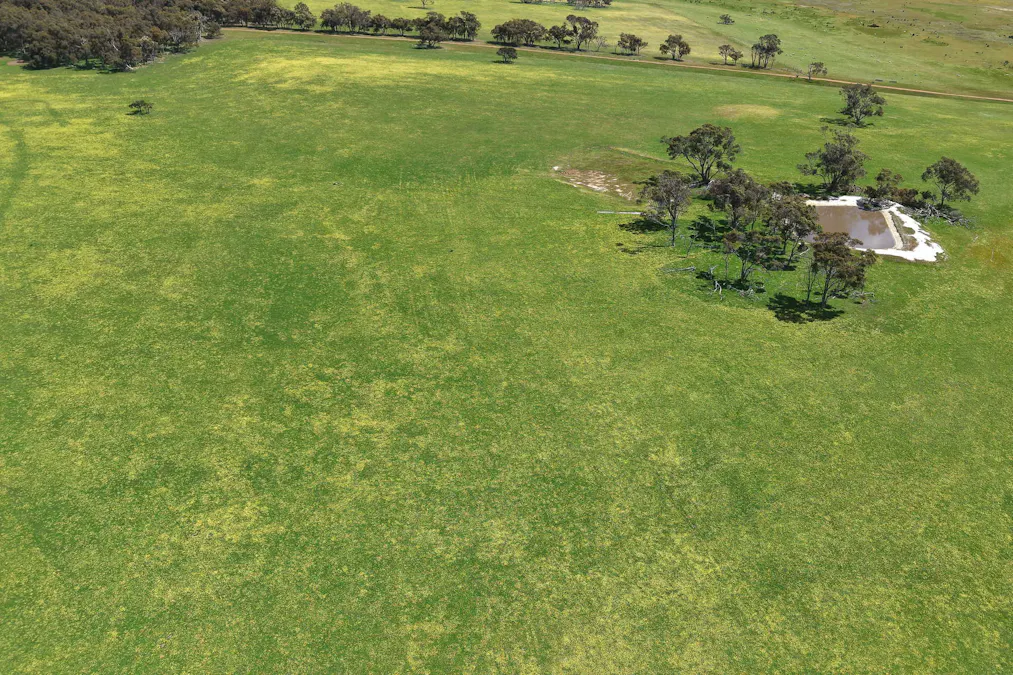 530 Watermans Road, Narrikup, WA, 6326 - Image 5