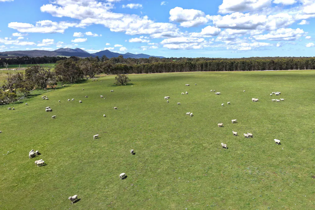 530 Watermans Road, Narrikup, WA, 6326 - Image 18