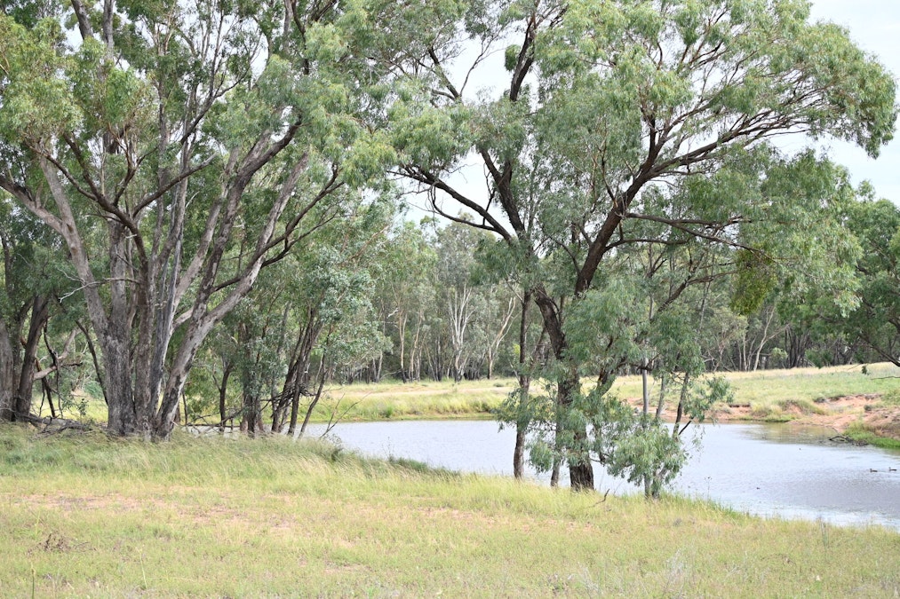 Mendooran, NSW, 2842 - Image 2
