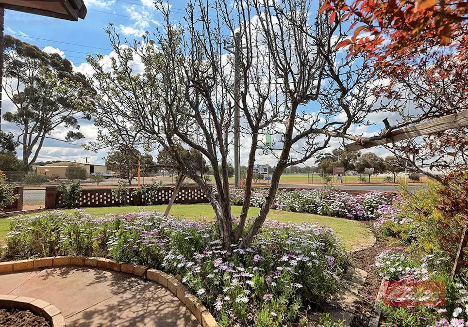 67 Clayton Road, Narrogin, WA, 6312 - Image 4