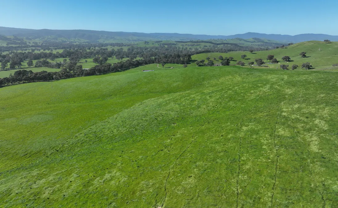 5695 Melba Highway, Yea, VIC, 3717 - Image 23