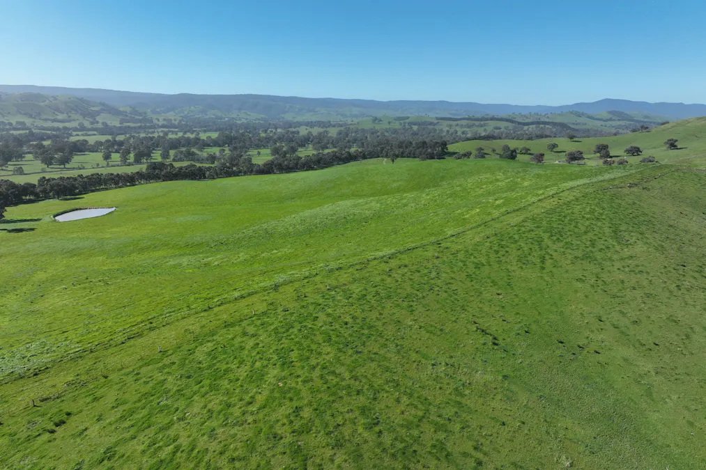 5695 Melba Highway, Yea, VIC, 3717 - Image 3