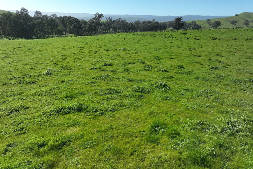 5695 Melba Highway, Yea, VIC, 3717 - Image 27