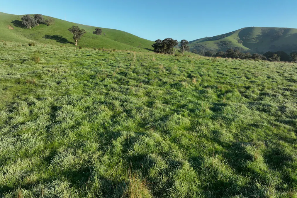 71-79 Ti Tree Creek Road, Yea, VIC, 3717 - Image 11