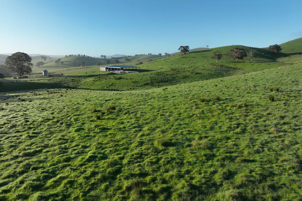 71-79 Ti Tree Creek Road, Yea, VIC, 3717 - Image 12