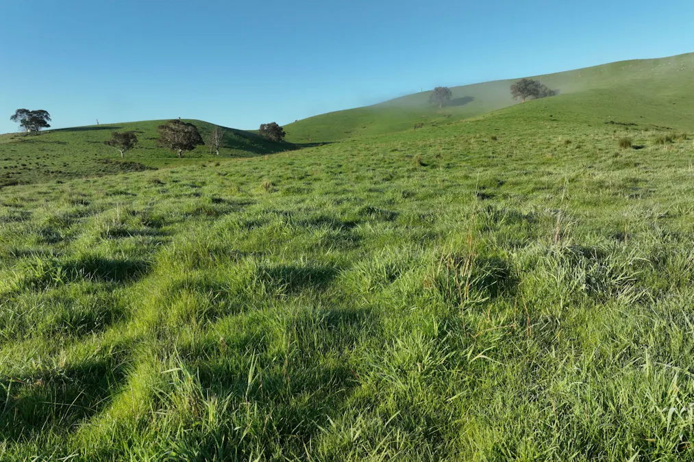 71-79 Ti Tree Creek Road, Yea, VIC, 3717 - Image 13