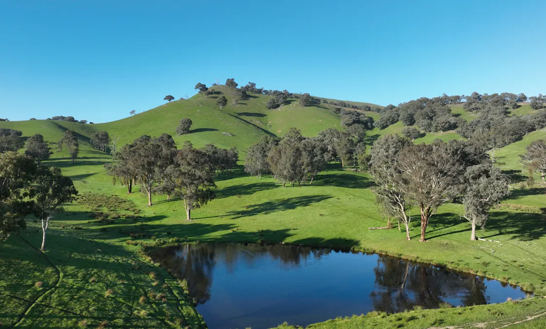 71-79 Ti Tree Creek Road, Yea, VIC, 3717 - Image 4