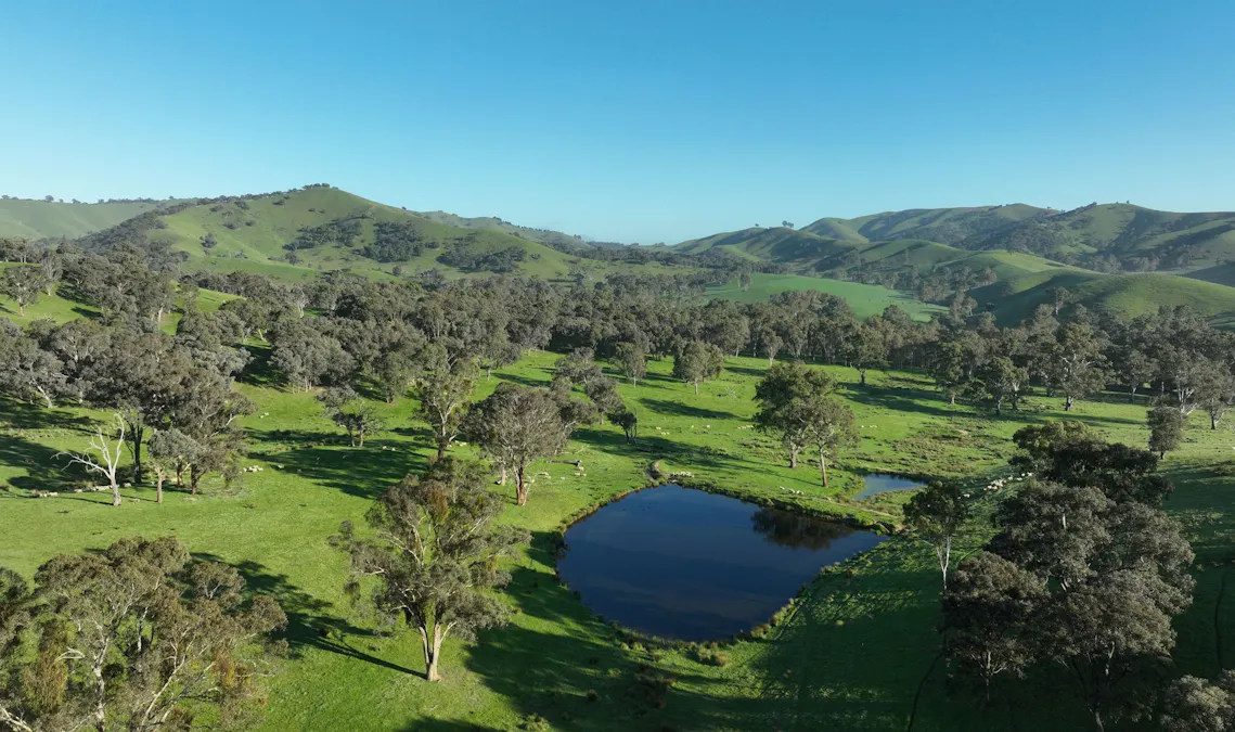 71-79 Ti Tree Creek Road, Yea, VIC, 3717 - Image 9