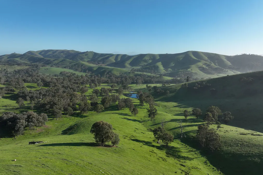 71-79 Ti Tree Creek Road, Yea, VIC, 3717 - Image 3