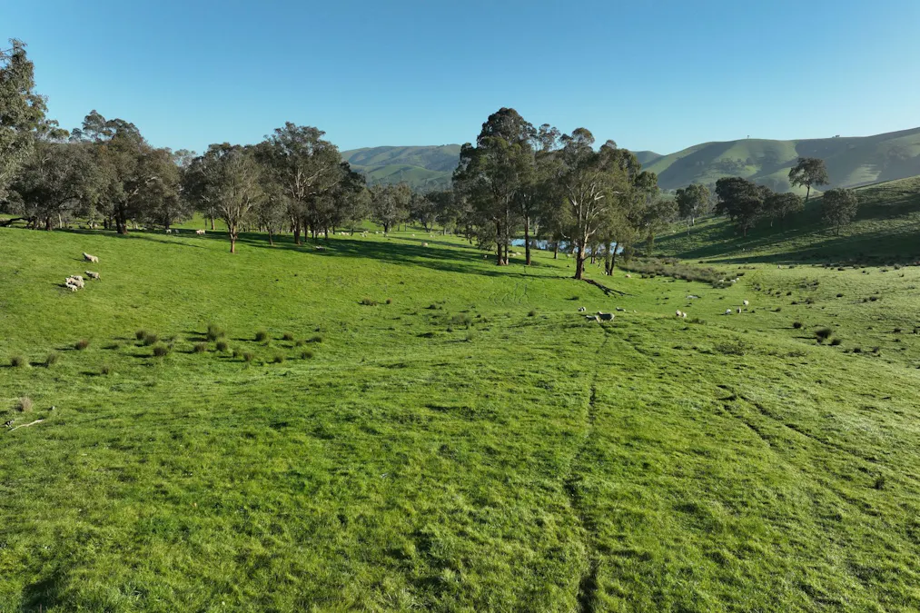 71-79 Ti Tree Creek Road, Yea, VIC, 3717 - Image 17