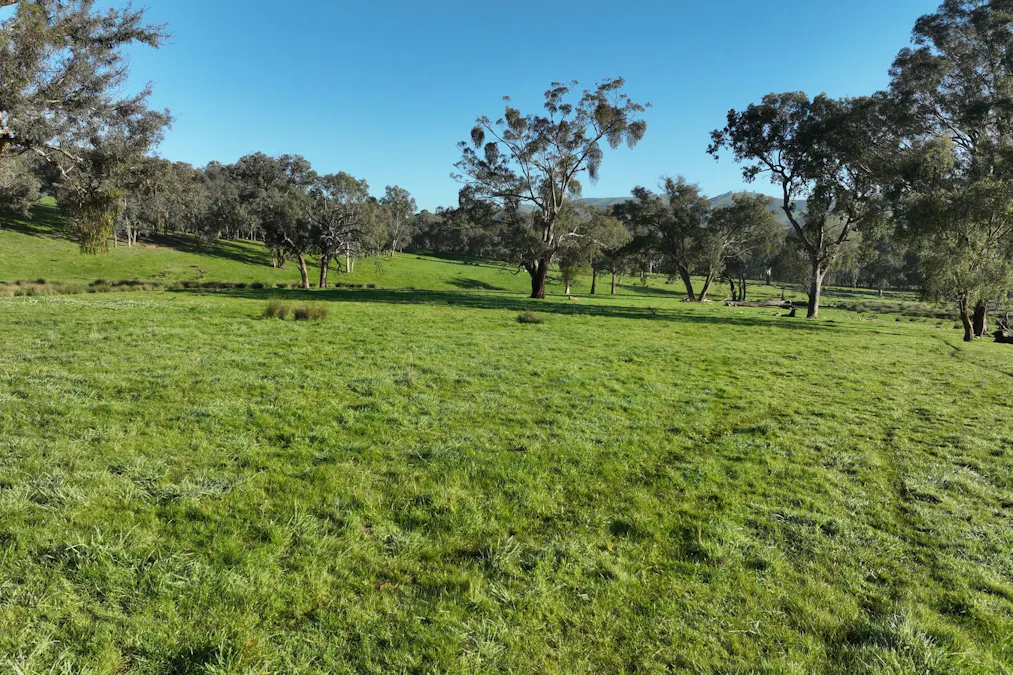 71-79 Ti Tree Creek Road, Yea, VIC, 3717 - Image 19