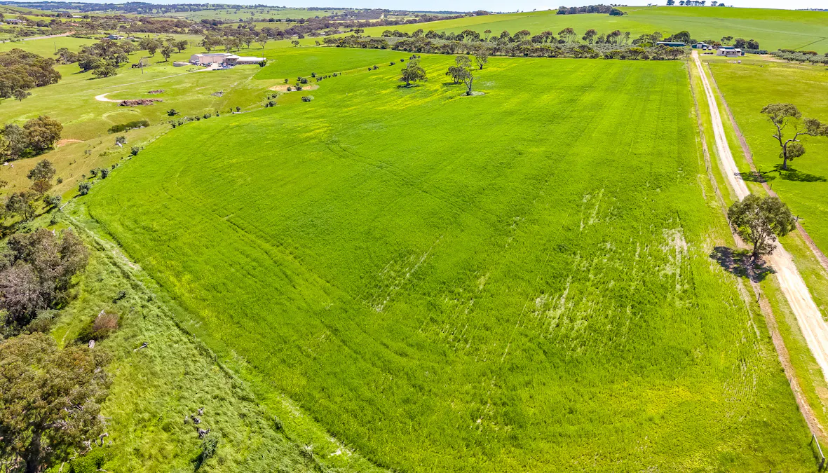 37 Peel Road, Currency Creek, SA, 5214 - Image 3