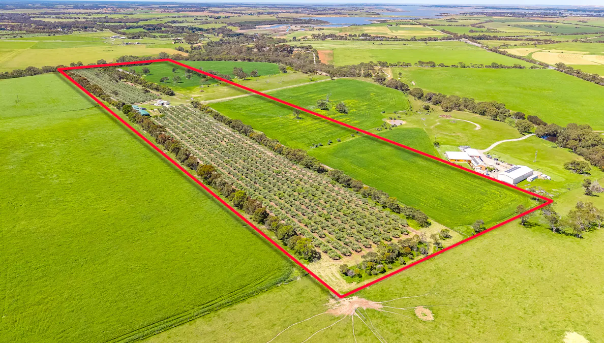 37 Peel Road, Currency Creek, SA, 5214 - Image 5