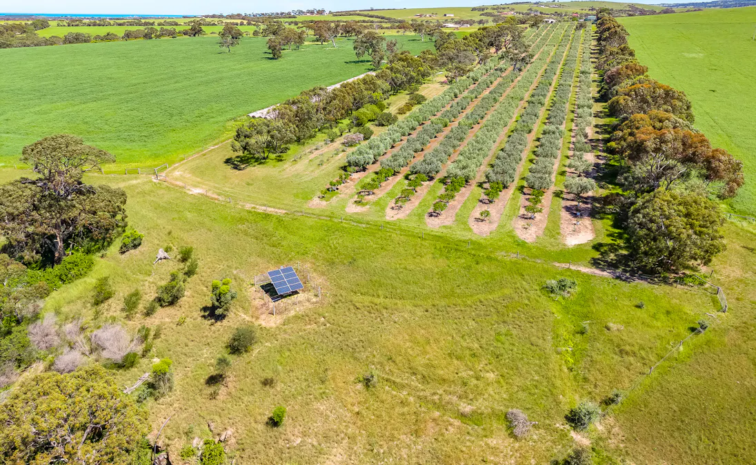 37 Peel Road, Currency Creek, SA, 5214 - Image 8