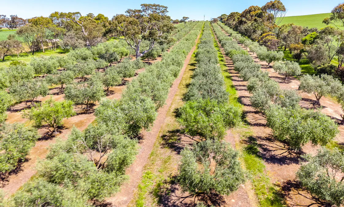 37 Peel Road, Currency Creek, SA, 5214 - Image 9