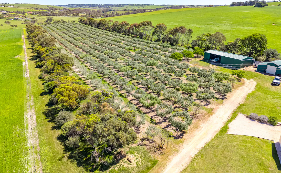 37 Peel Road, Currency Creek, SA, 5214 - Image 10