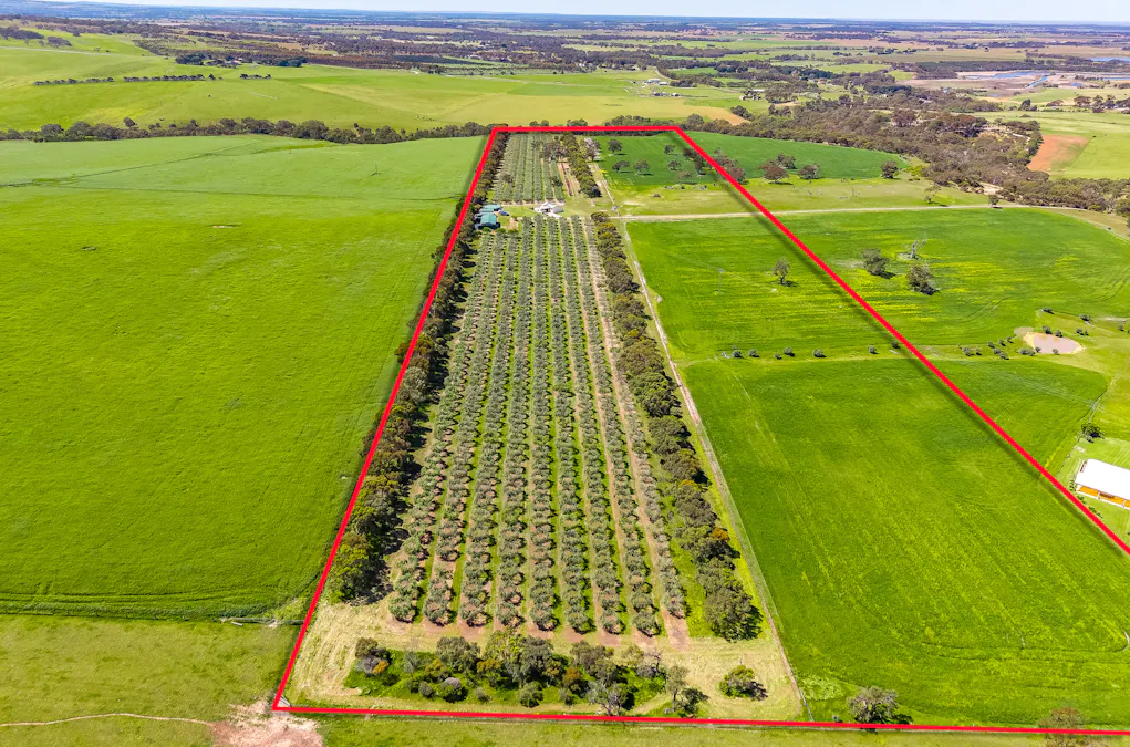 37 Peel Road, Currency Creek, SA, 5214 - Image 14