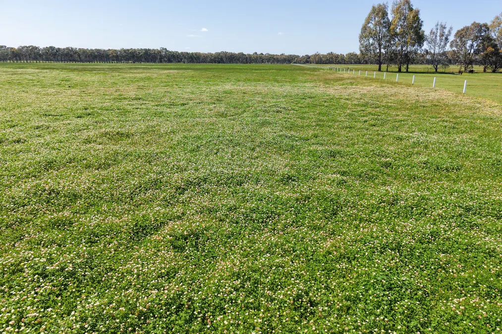 152 Mounsey Road, West Coolup, WA, 6214 - Image 10