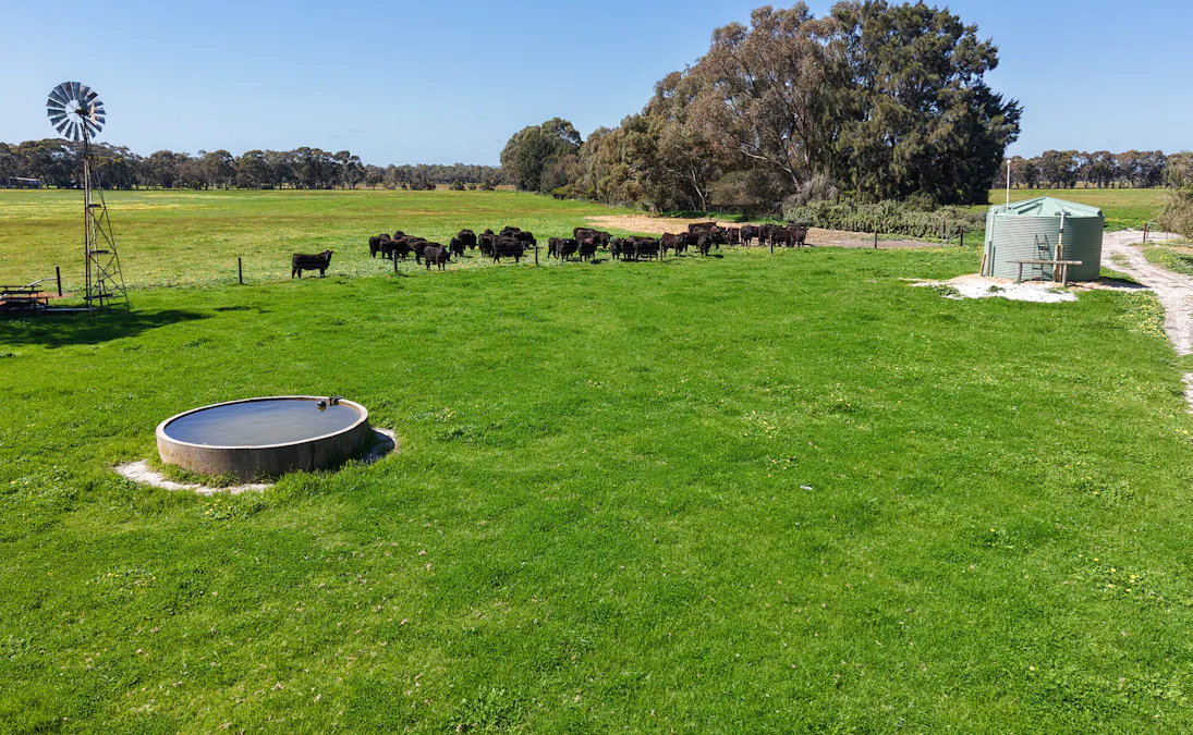 152 Mounsey Road, West Coolup, WA, 6214 - Image 6