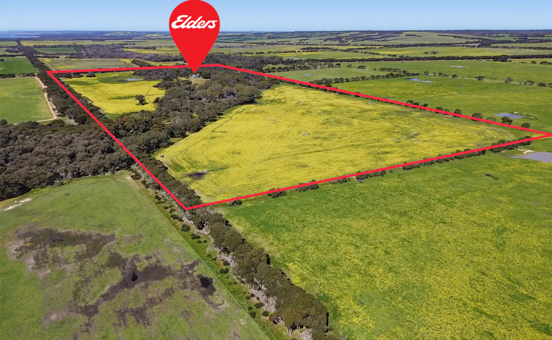 314 Birchmore Road, Birchmore, SA, 5223 - Image 16