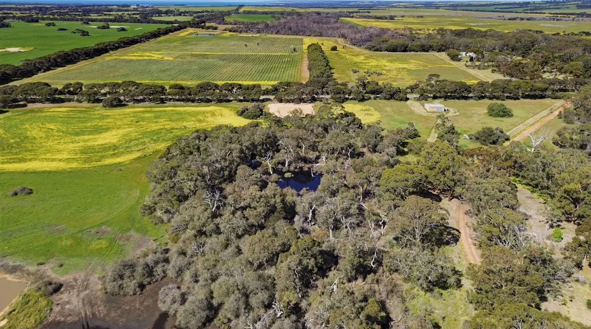 314 Birchmore Road, Birchmore, SA, 5223 - Image 19