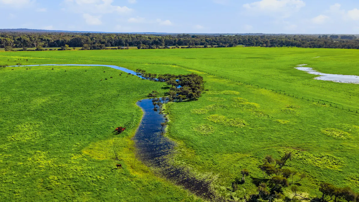 Lot 2728 Doman Road, Lake Clifton, WA, 6215 - Image 12
